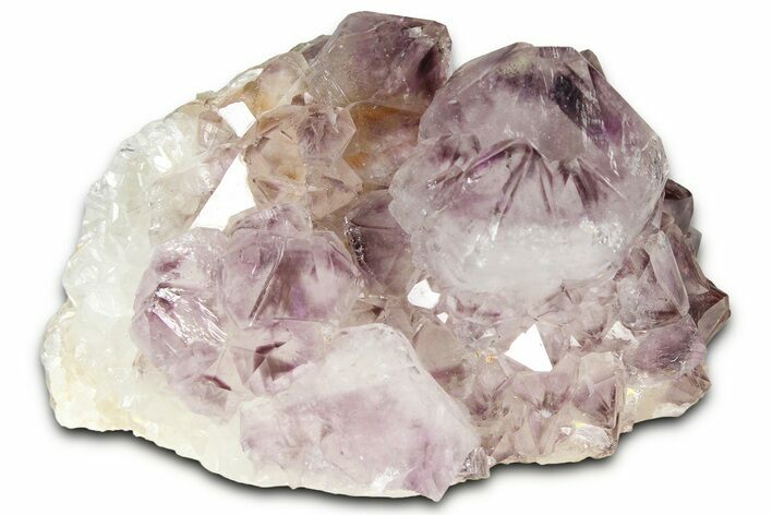 Sparkling Cactus Amethyst Crystal Cluster - South Africa #364627